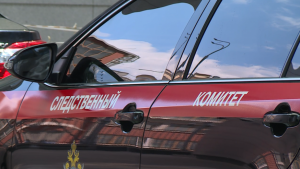 Возбуждено уголовное дело по факту гибели мирных жителей в Луганской Народной Республике